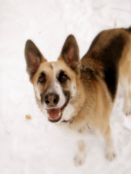 21556_268112786975_114582456975_3974872_2946051_n