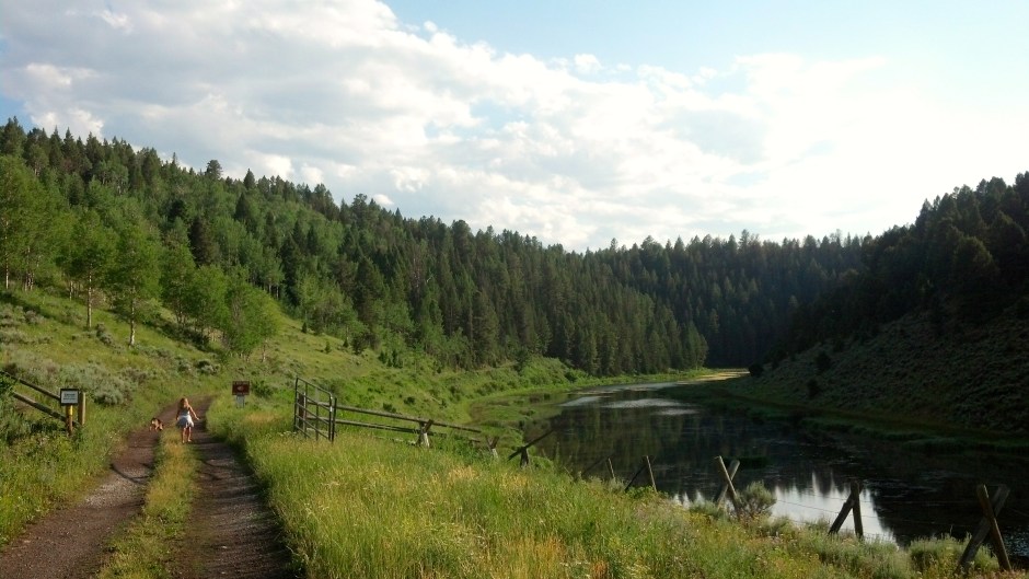 IMG_20130708_185644_805