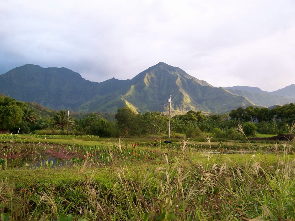 3577933677_a46b1ab717_o