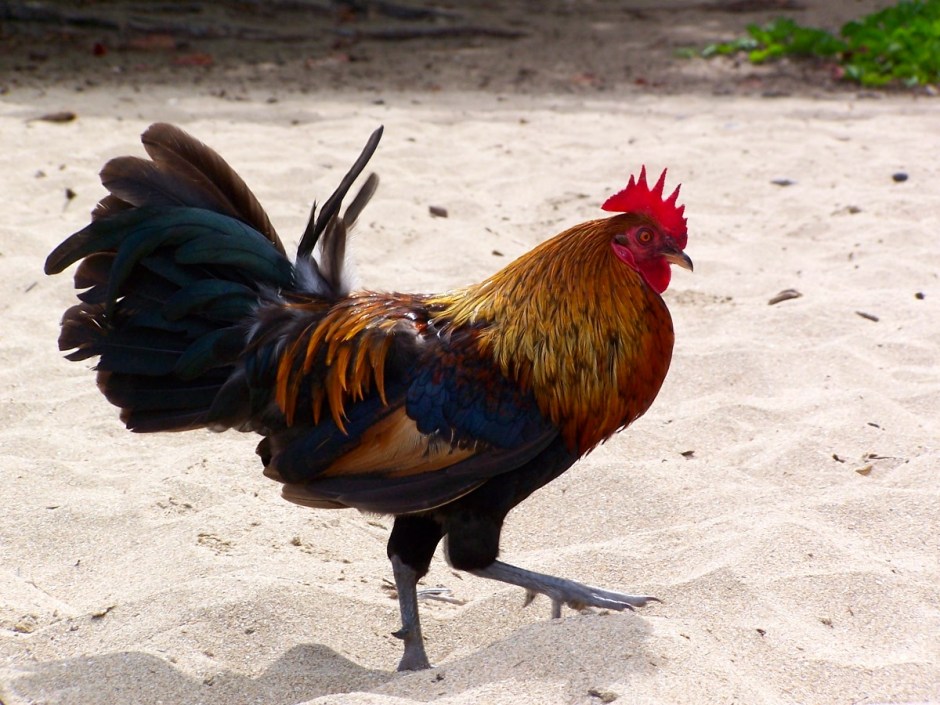 3577937025_4cdfa4a832_o