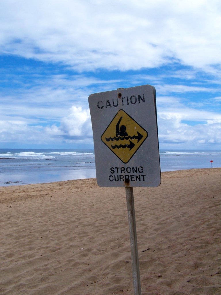 3577937813_97bfda1cf7_o