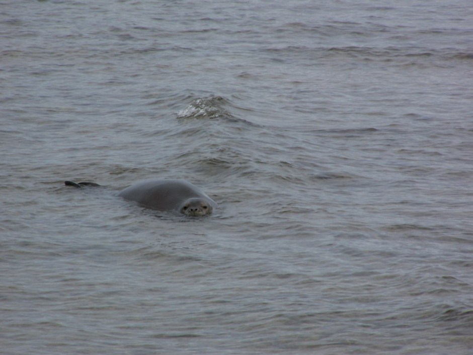 3577938263_68e35a1eed_o