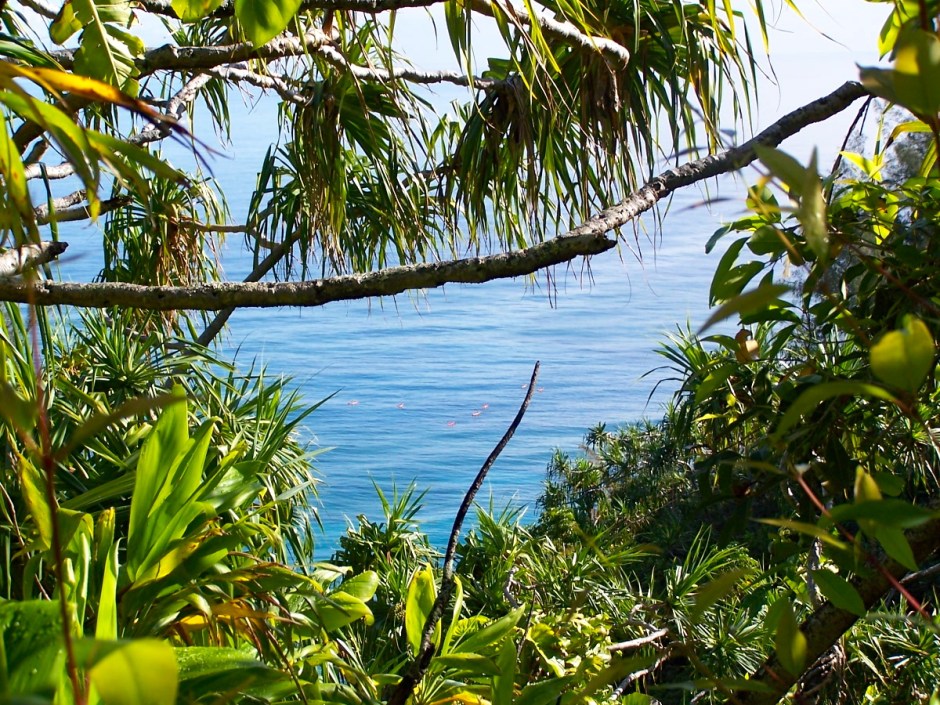 3577940131_3cd9d68a69_o