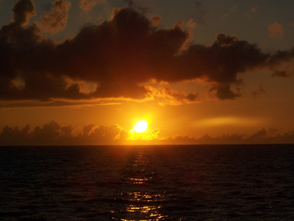 3577946837_4284506378_o