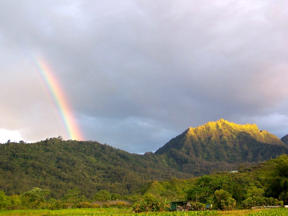 3578738166_c254f135c5_o