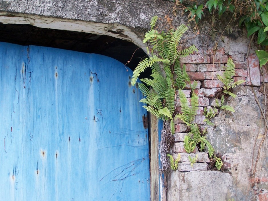 3375470761_0fd144a70b_o