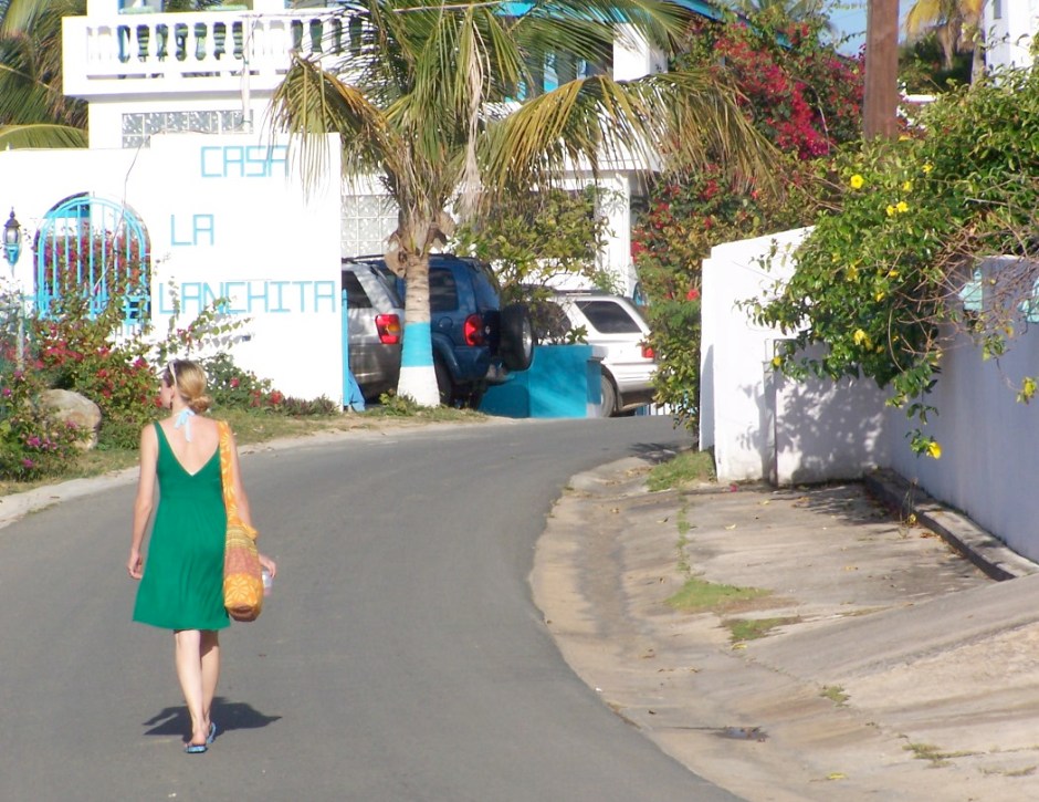 3375473601_de4a80f2dd_o