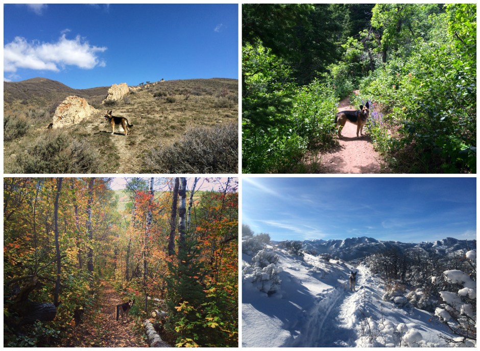 fourseasons2014Collage