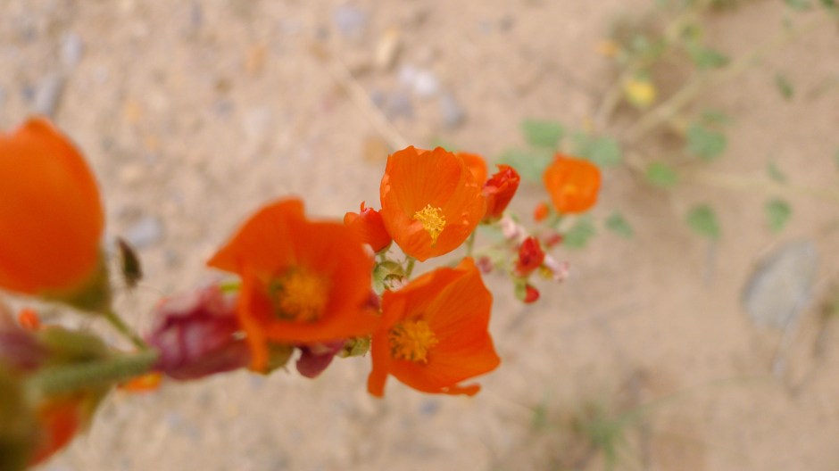 P1200957