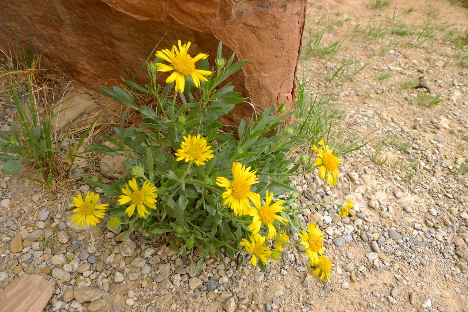 P1210094