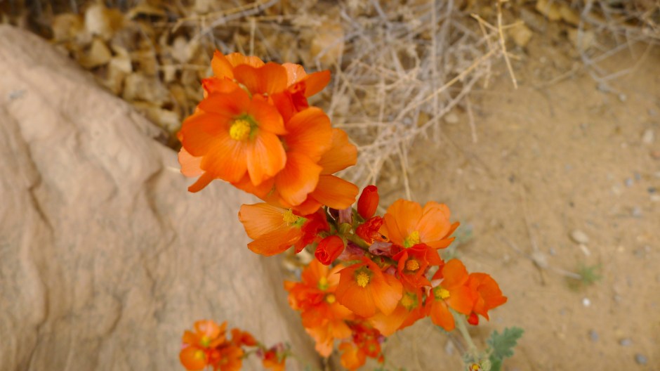 P1210100