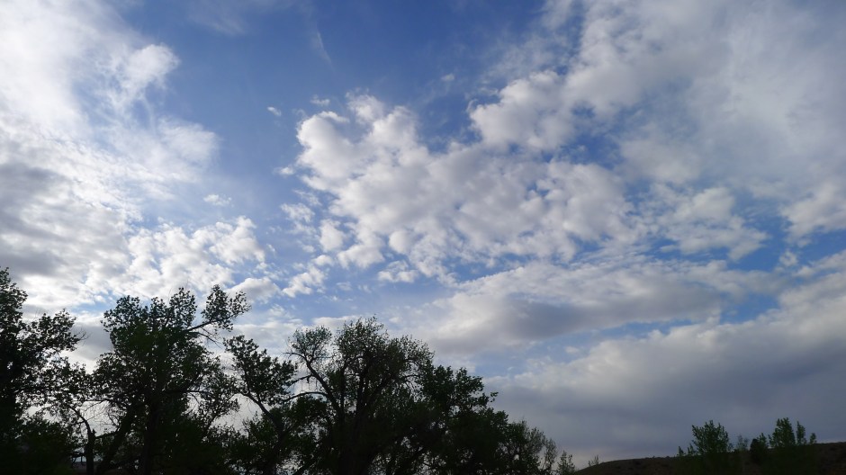 P1210187