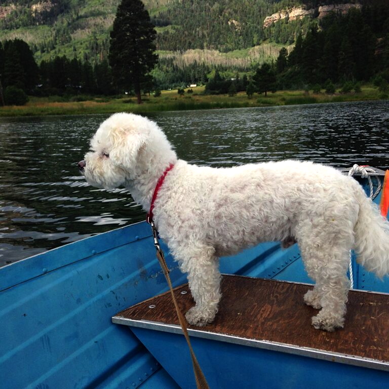 44HSO9aPHt43inCWvFqFnrpNzKQ055ZyN24eT75Ggag