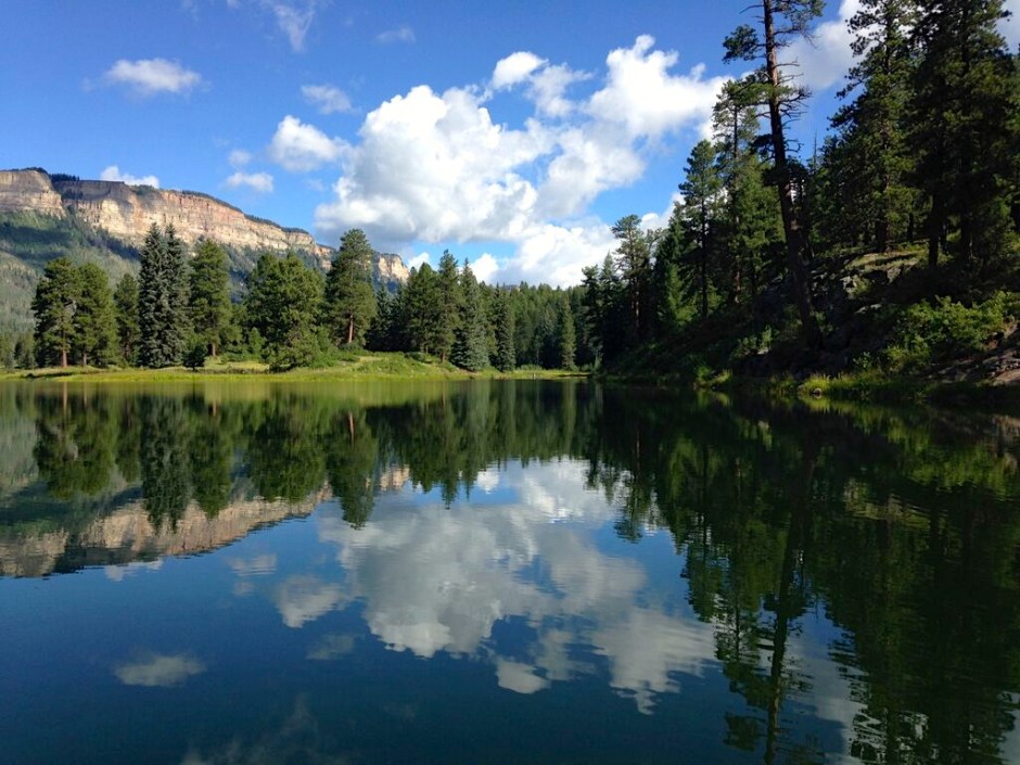 jX_xXwiZOi5KXDAF6EmdiEu37_-_5giqM6g7h1x1MOU