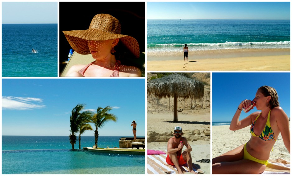 mex2011Collage